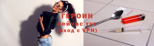 шишки Ельня