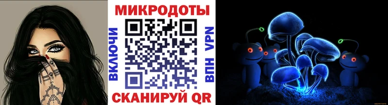 как найти   Шарыпово  Псилоцибиновые грибы Magic Shrooms 